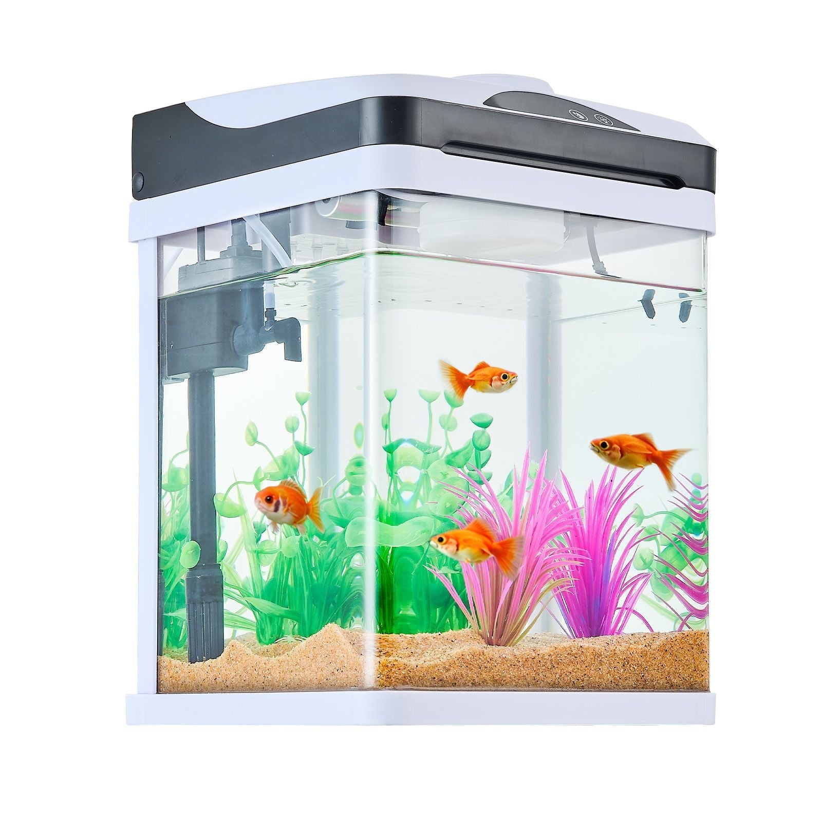 2‑Gallon LED Glass Aquarium – Ultra‑Clear Tank with Temperature Display, 7‑Color Lighting & Self‑Cleaning System