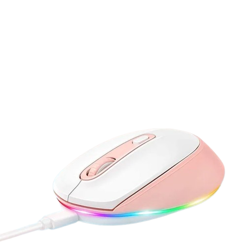 Wireless Rechargeable Silent Mouse with RGB LED Lights & USB‑C